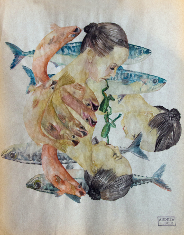 Pescio, contemporary italian painting, watercolor, fish