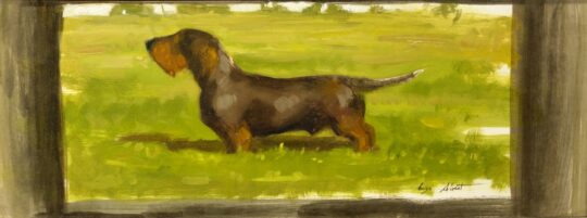 Albert, pittura italiana, bassotto